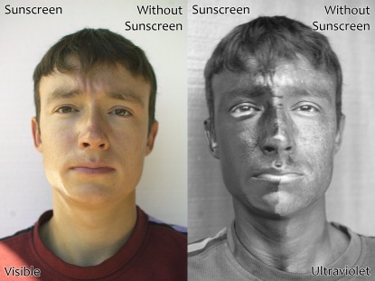 UV_and_Vis_Sunscreen
